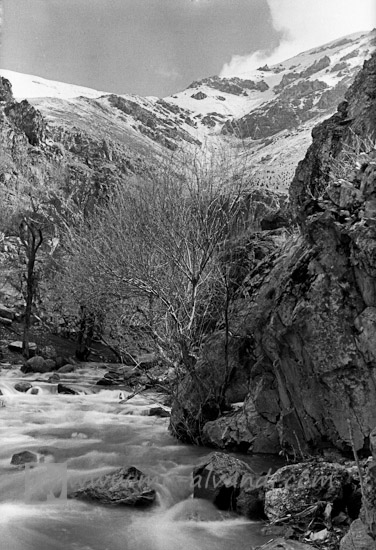 Beautiful black and white image of Darabad mountainous region,تصویر سیاه و سفید زیبا از منطقه کوهستانی دارآباد