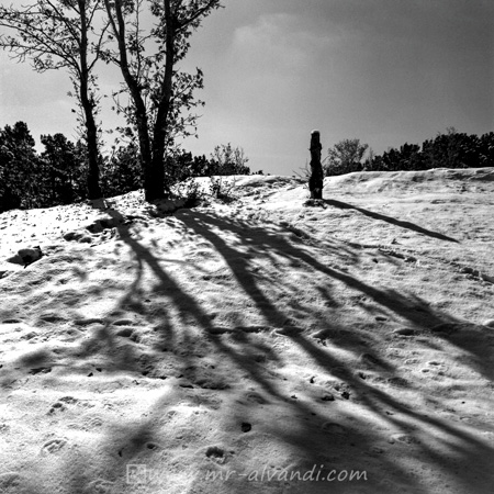 Lavizan Forest Park after snow,پارک لویزان پس از برف