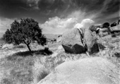 Zanjan rocks and tree,صخره های زنجان و تک درخت