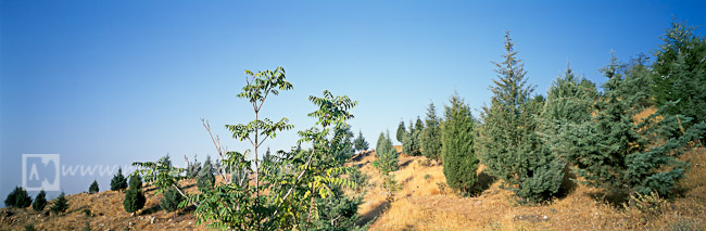 Darabad mountain road,مسیر قله دارآباد