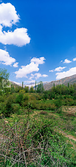 Evan lake and tree planting, دریاچه اوان و درختکاری