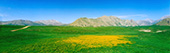 Lar Plain,دشت لار