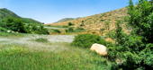 Shurab village,روستای شورآب