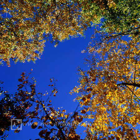 Blue sky in Ahhar,آسمان آبی در آهار