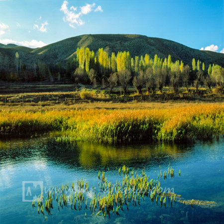 A beautiful reflections in the Arjomand village of functions Firuzkoh, انعکاسهای زیبا در روستای ارجمند از توابع فیروزکوه The autumn beautiful and Arjomand village, پاییز زیبا و روستای ارجمند