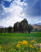 Arjomand region,منطقه ارجمند