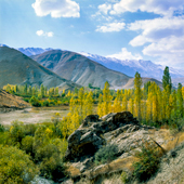 Beautiful Autumn Arjomand