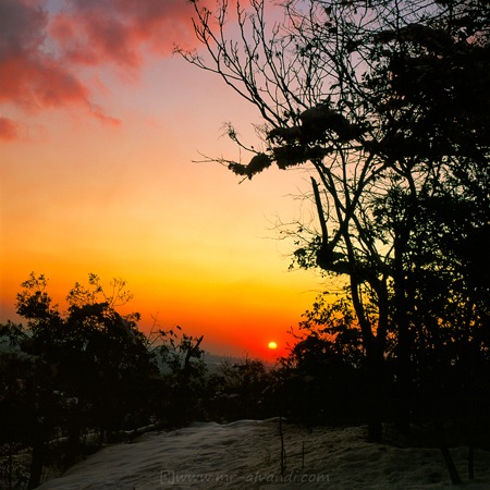 Beautiful sunset of Lavizan Forest Park, غروب زیبای پارک جنگلی لویزان