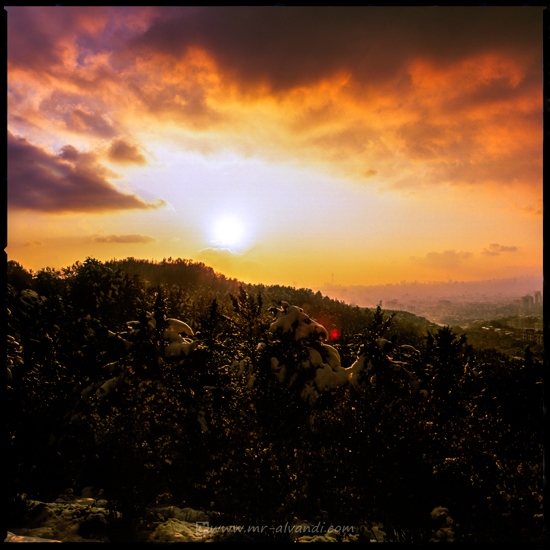 Snowy sunset in Lavizan Forest Park