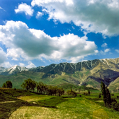 Spring in Mazandaran
