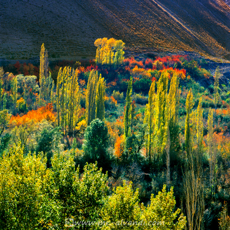 Shahrestanak gardens village in the fall,باغهای زیبای شهرستانک در پاییز