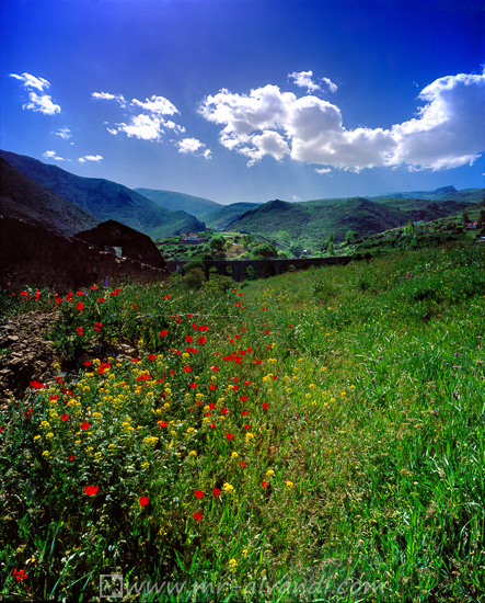 Shurab village and poppy fields,دهکده شورآب و دشت شقایق