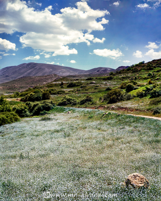 Beautiful Plain from Shurab Village, دشت زیبای شورآب