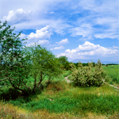 Zanjan, a province with beautiful scenery