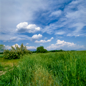 Beautiful plains of Zanjan
